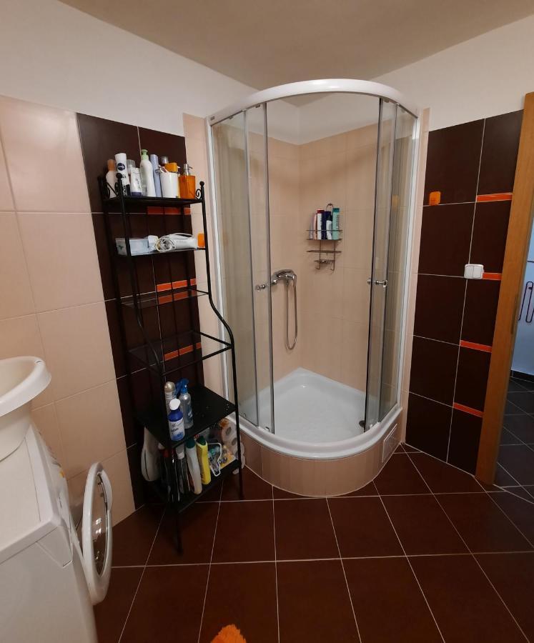 Apartman Lesna Apartment Nova Lesna Bagian luar foto